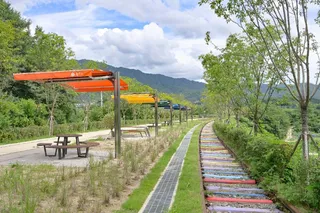 치악산 바람길숲