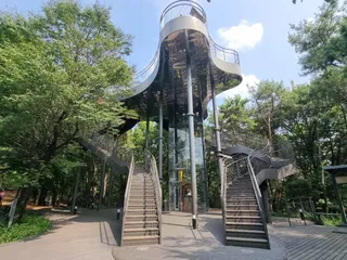 [서울둘레길 3코스] 불암산코스