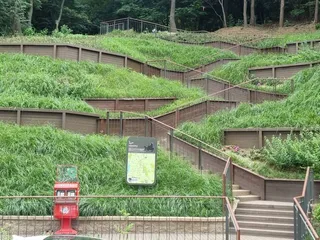 [서울둘레길 9코스] 대모·구룡산코스
