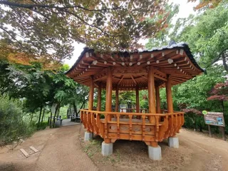[서울둘레길 16코스] 봉산·앵봉산코스