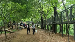 [서울둘레길 16코스] 봉산·앵봉산코스