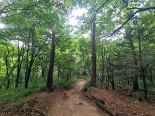 [서울둘레길 17코스] 북한산 은평코스