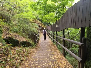 [서울둘레길 17코스] 북한산 은평코스