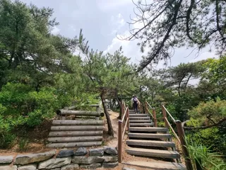 [서울둘레길 18코스] 북한산 종로코스