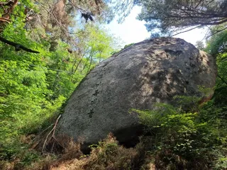 [서울둘레길 19코스] 북한산 성북코스