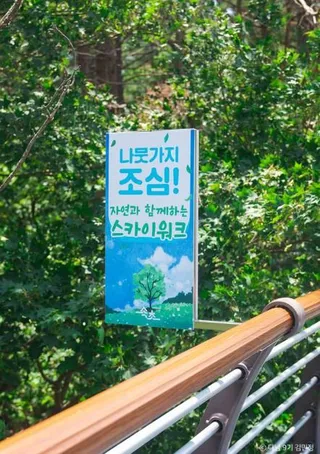 설악향기로