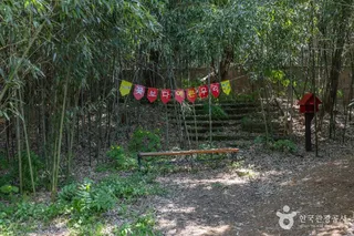 면천읍성 대숲바람길