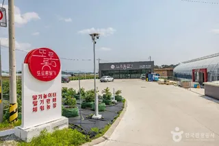 또로롱딸기