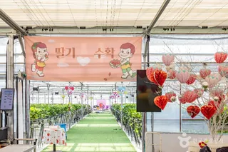 또로롱딸기