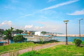 읍천항