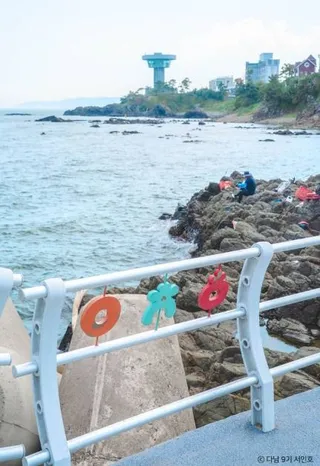 읍천항
