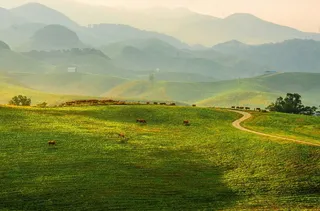 서산한우목장 웰빙산책로