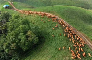 서산한우목장 웰빙산책로