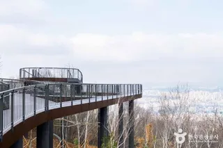 용마산 스카이워크