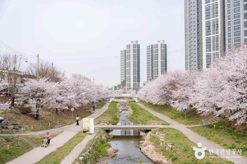 원성천
