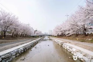 원성천