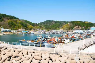 구계항