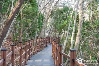 거제치유의숲