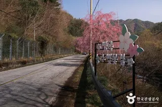 병곡마을