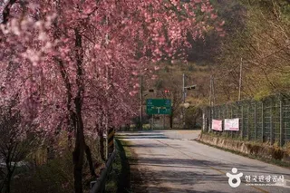 병곡마을