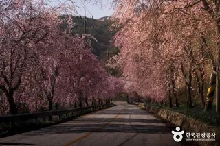 병곡마을