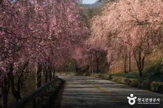 병곡마을