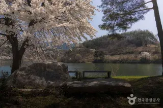 손항마을