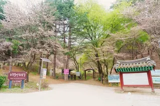 [원주 소풍길] 1코스 운곡솔바람숲길