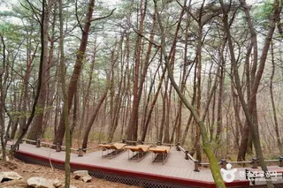 [원주 소풍길] 1코스 운곡솔바람숲길