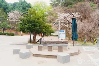 [원주 소풍길] 1코스 운곡솔바람숲길
