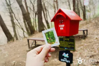 [원주 소풍길] 1코스 운곡솔바람숲길