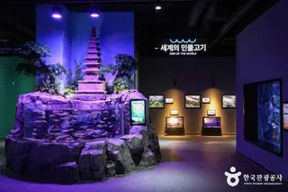 충주아쿠아리움