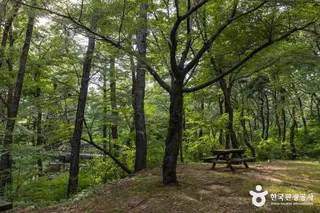 마니산 치유의 숲