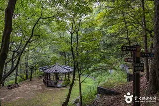 마니산 치유의 숲