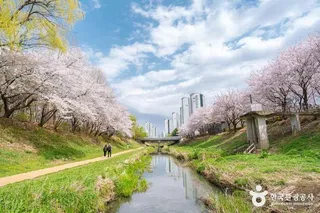 반월놀이공원