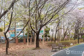 반월놀이공원