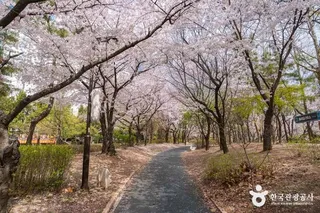 반월놀이공원