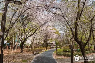 반월놀이공원