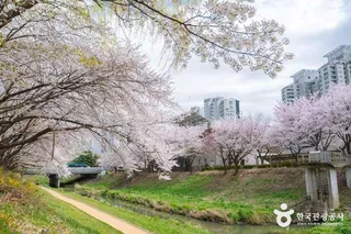 반월놀이공원