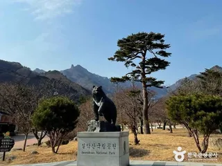 설악산소공원