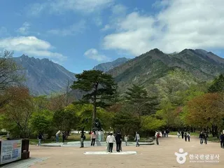 설악산소공원