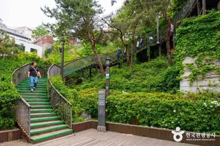 [종로둘레길 3코스] 낙산 코스