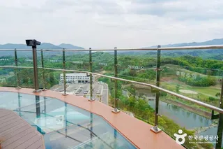 영동와인전망대