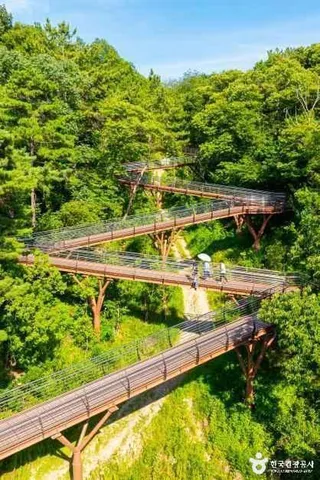 용두산 생태공원