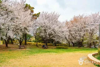 문화근린공원
