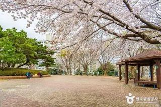 문화근린공원