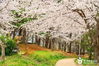 문화근린공원