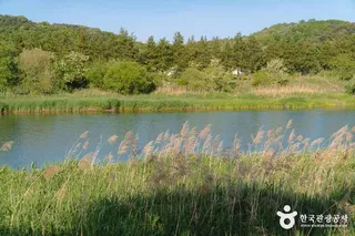 조천서자전거길