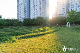 푸른뜰근린공원