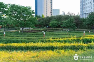 푸른뜰근린공원